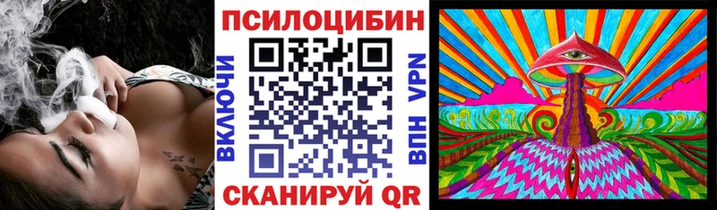 наркошоп  Каменка  Псилоцибиновые грибы прущие грибы 